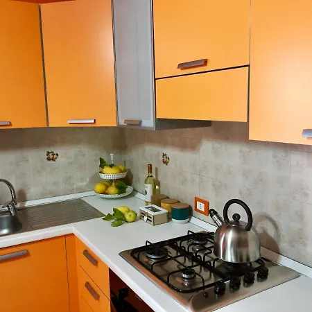 Color House
