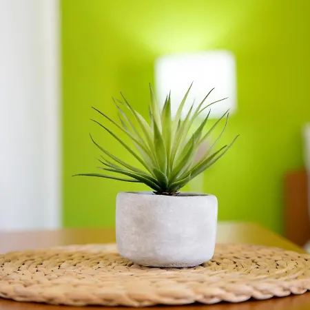 Color House Apartment *